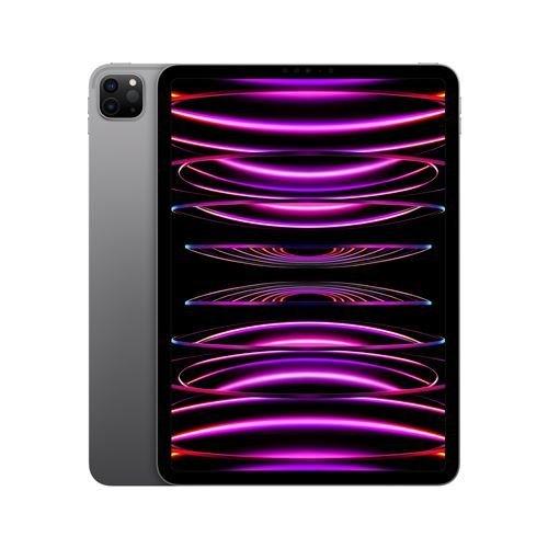 Apple  Apple iPad Pro 11" Puce Apple M2 256Go Gris Sidéral Wifi Fin 2022 
