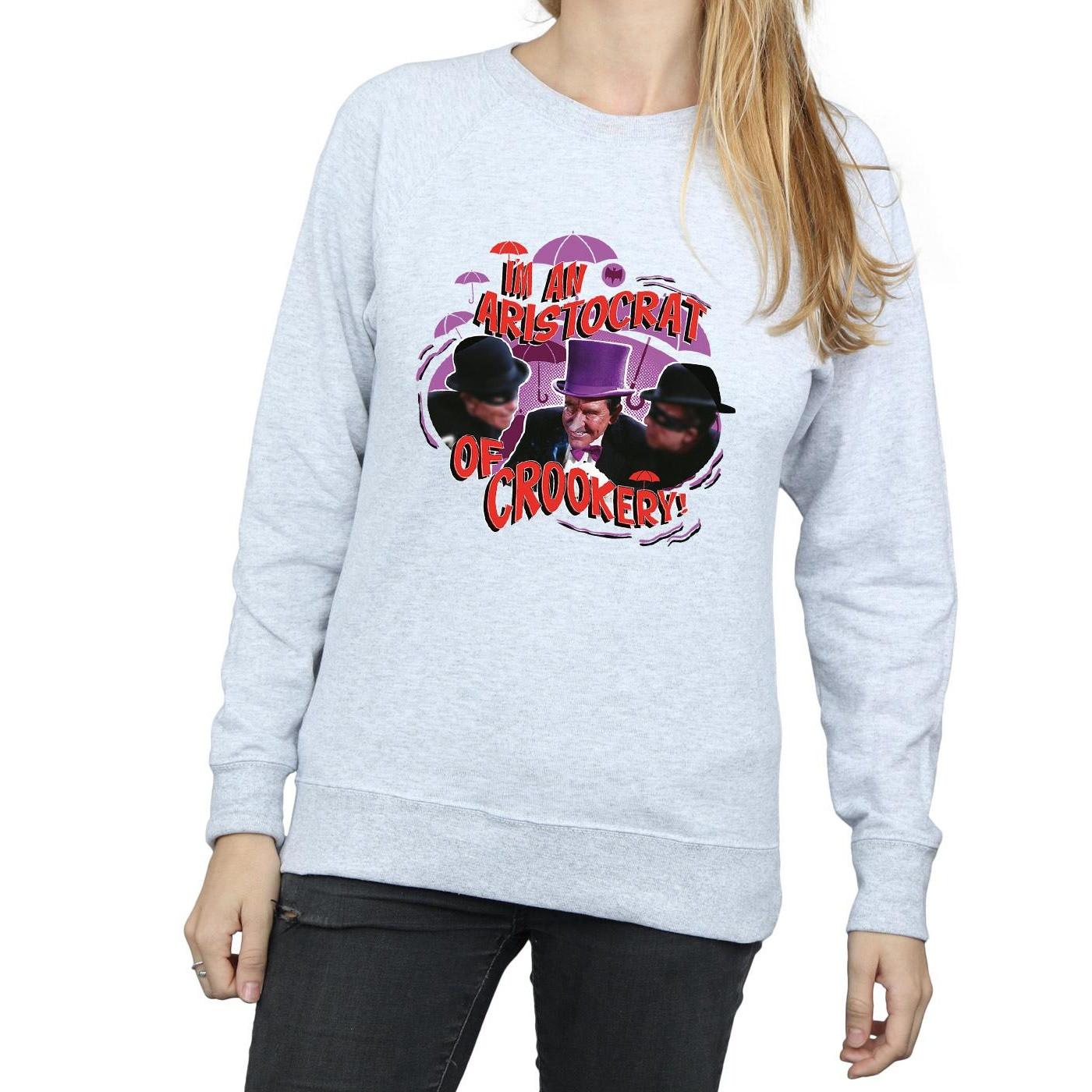 DC COMICS  Sweatshirt 