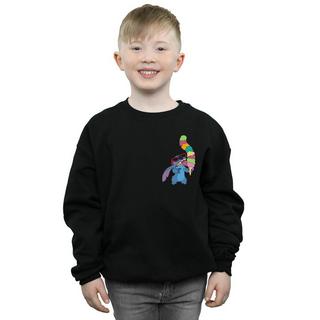 Disney  Sweatshirt 