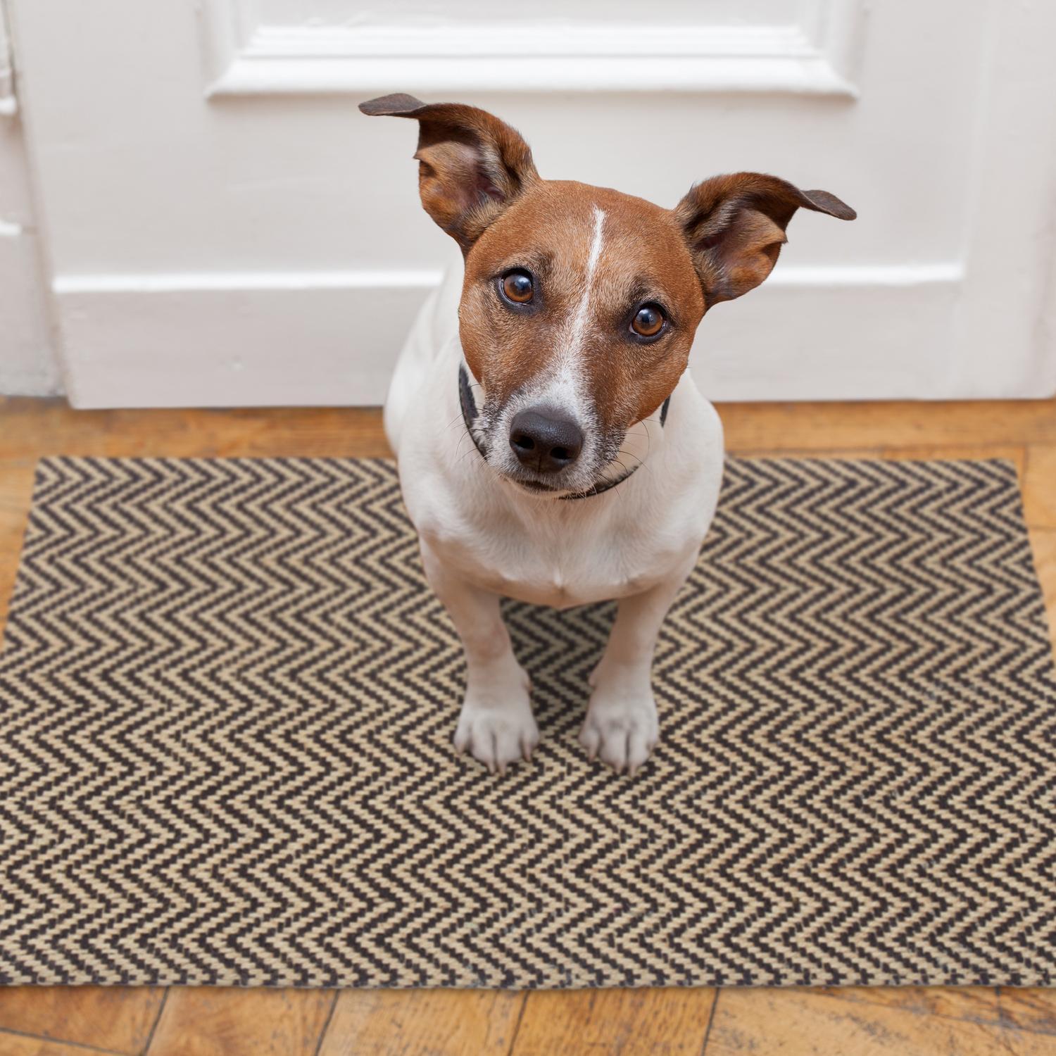 Northix Zerbino in juta a zigzag  