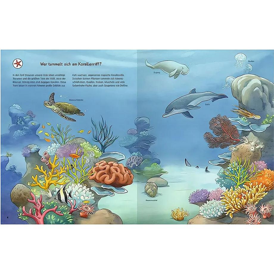 Ravensburger  Wieso? Weshalb? Warum? Stickerheft: Tiere der Welt 