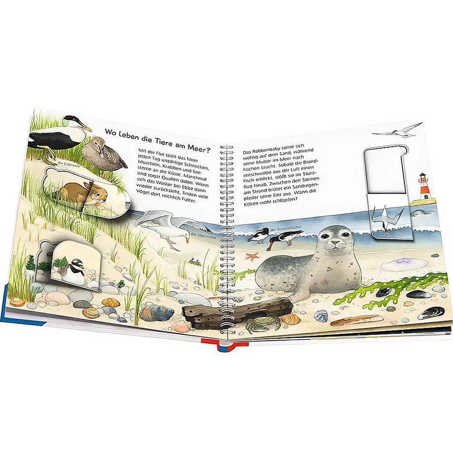 Wieso? Weshalb? Warum? junior, Band 33: Tiere bei uns Mennen, Patricia; Ebert, Anne (Illustrationen) Gebundene Ausgabe 