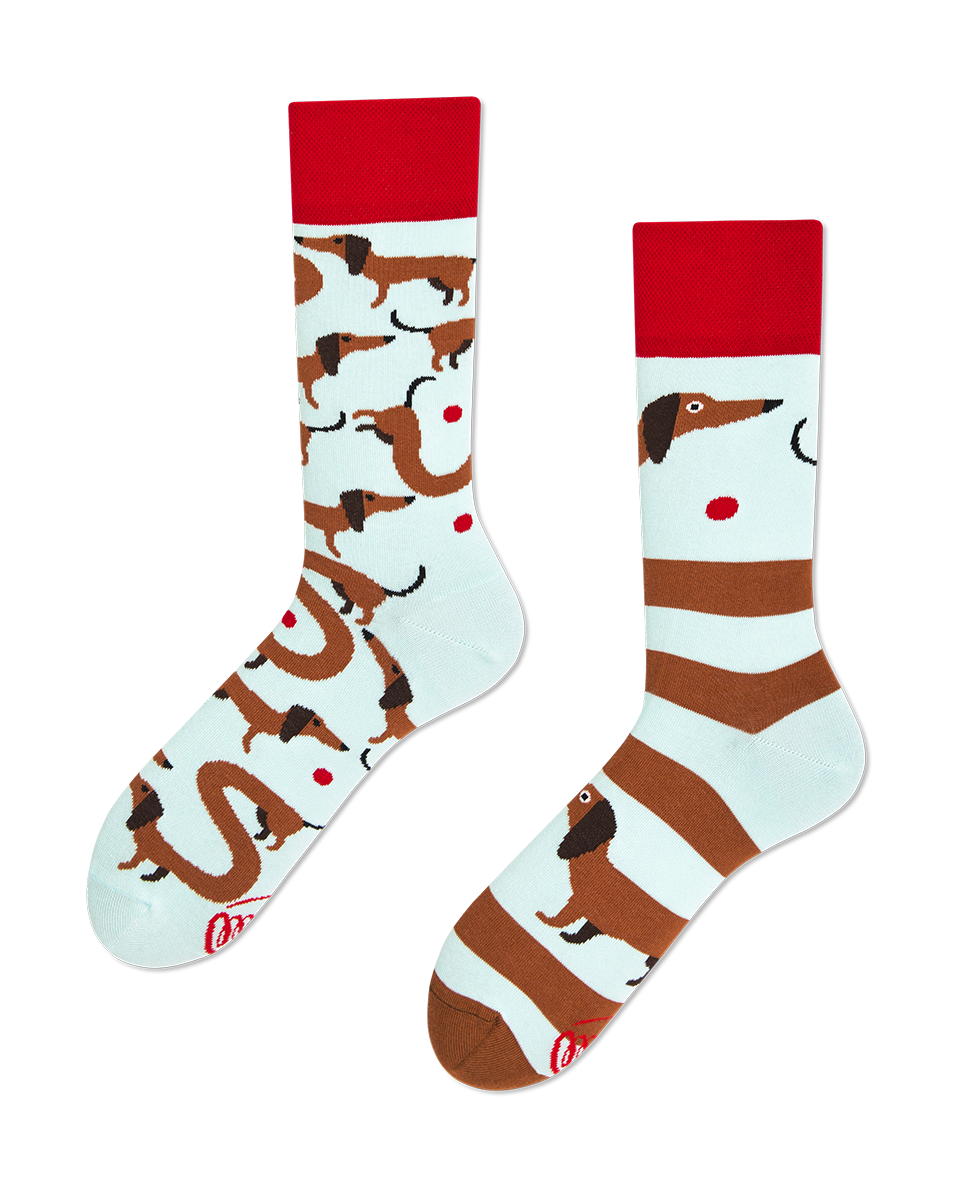 Many Mornings  Sausage Dog Socks - Many Mornings 