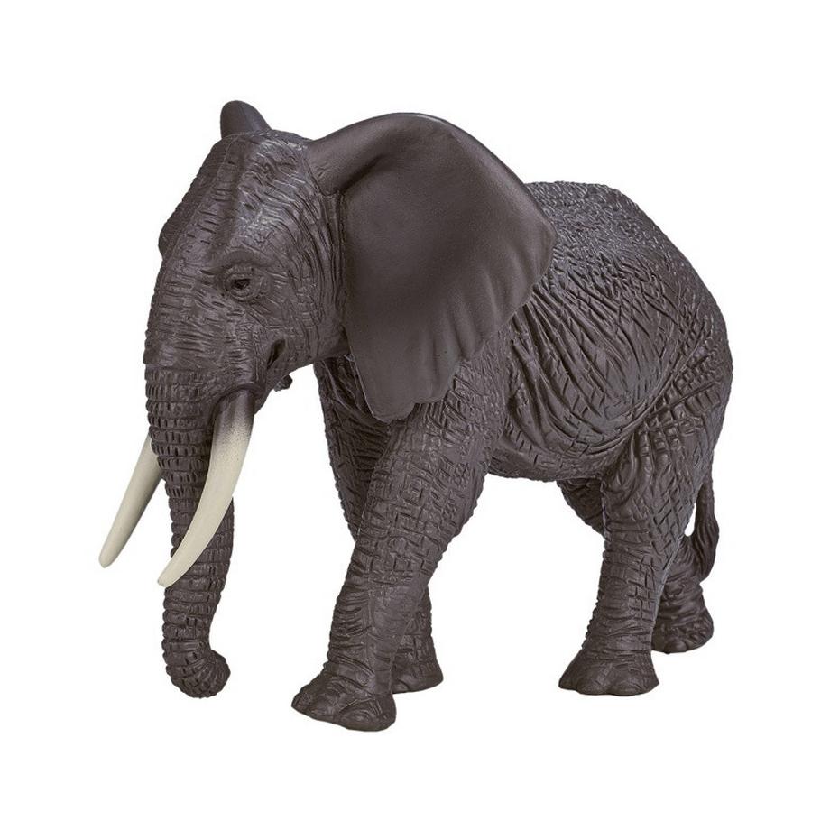 Mojo  Wildlife Afrikanischer Elefant 