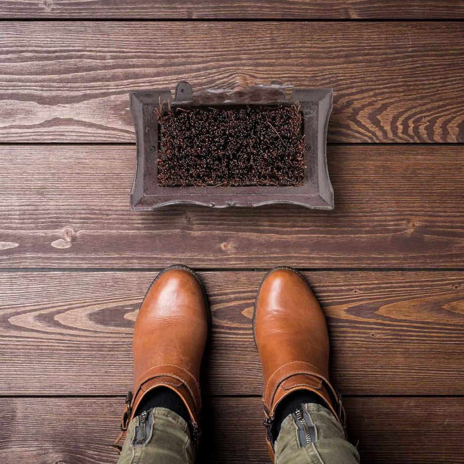 B2X  Brosse à chaussures en fonte à motifs animaliers 