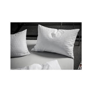 Divina Textil AG Paloma Federa 50x70 cm  