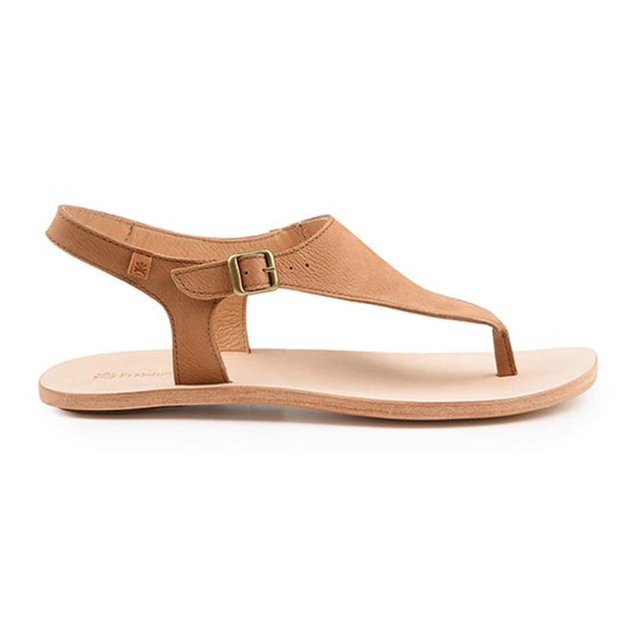 El Naturalista  Coratina N5710-41 