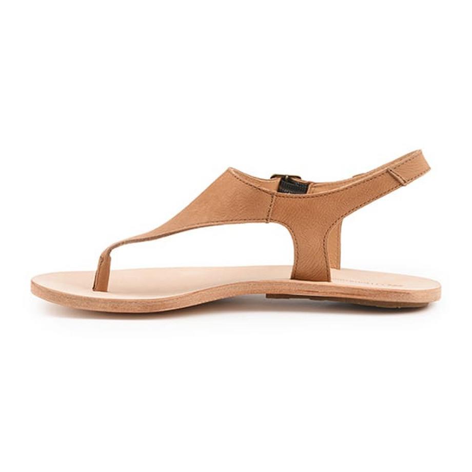 El Naturalista  Coratina N5710-41 