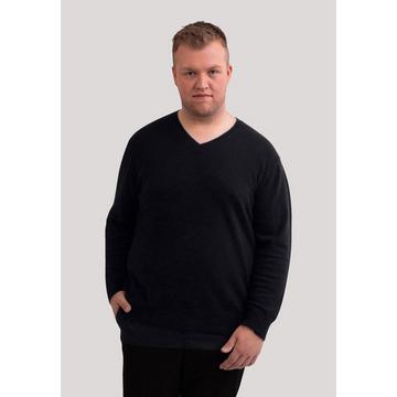 Kaschmir V-Ausschnitt Pullover