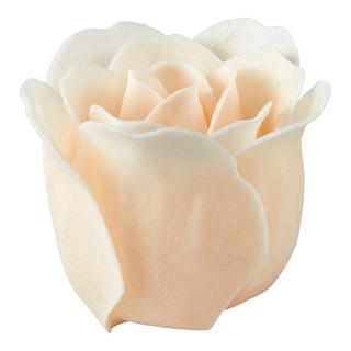 Mathilde M  Boîte de 12 fleurs Beige Savon 