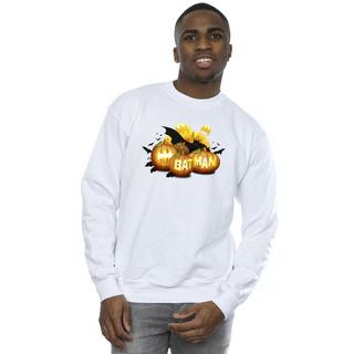 DC COMICS  Sweatshirt 