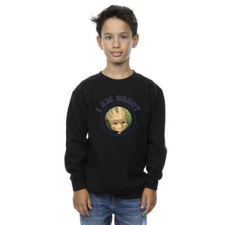 Guardians Of The Galaxy  Sweatshirt 