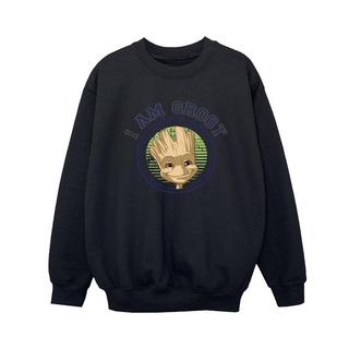 Guardians Of The Galaxy  Sweatshirt 