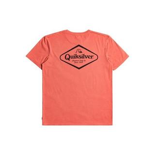 QUIKSILVER  STIRITUPSS T-Shirt 