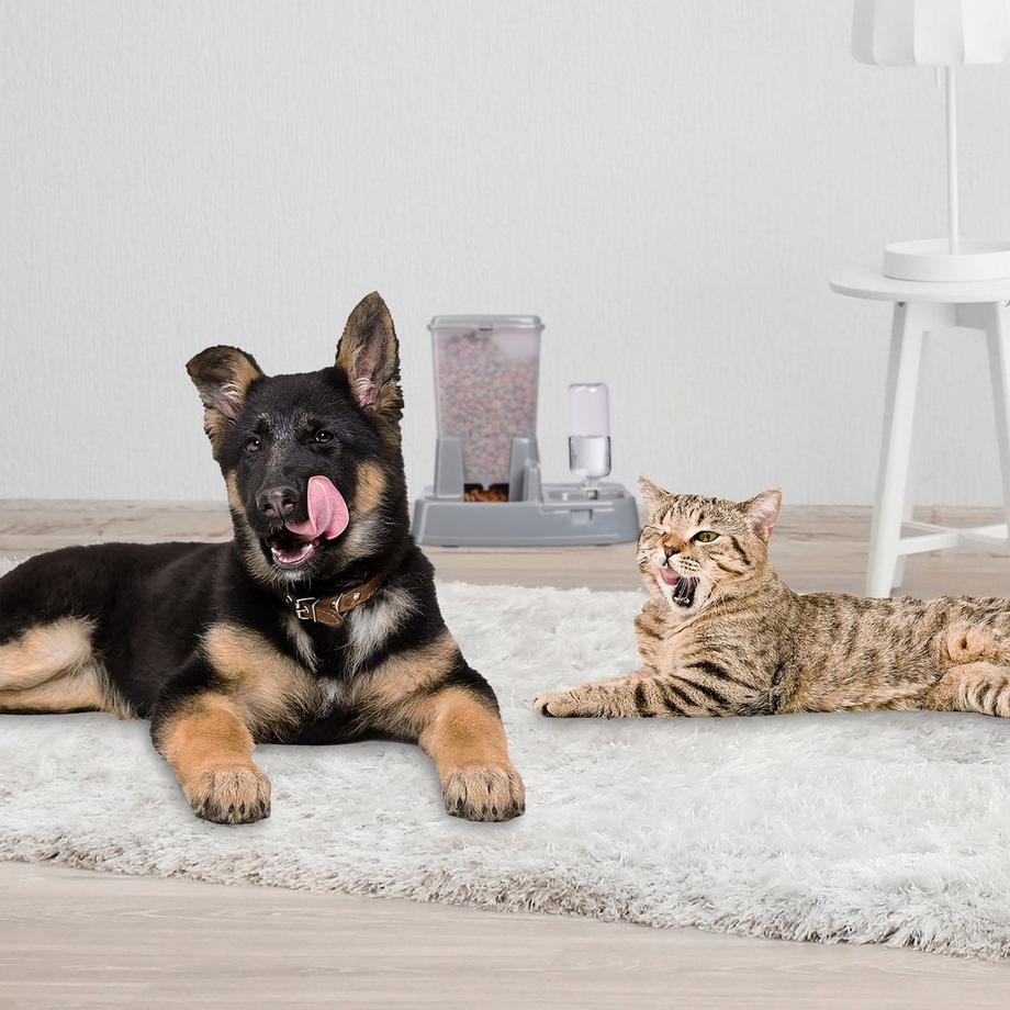 B2X  Distributore di cibo e acqua 