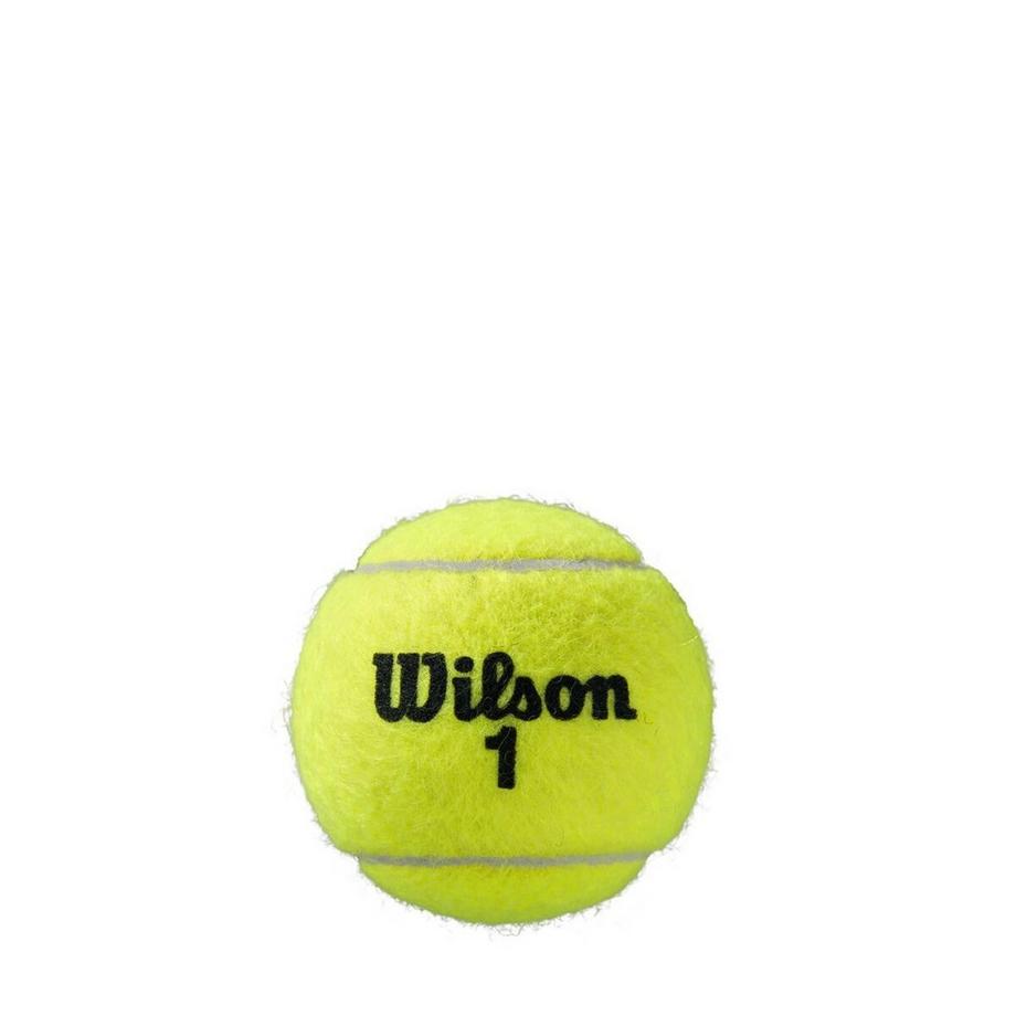 Wilson  Roland Garros All Court Tennisbälle 4er 