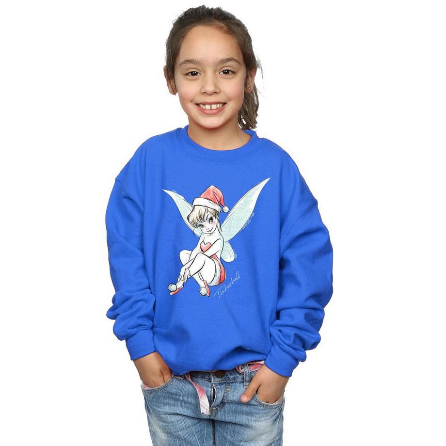 Disney  Fairy Sweatshirt 