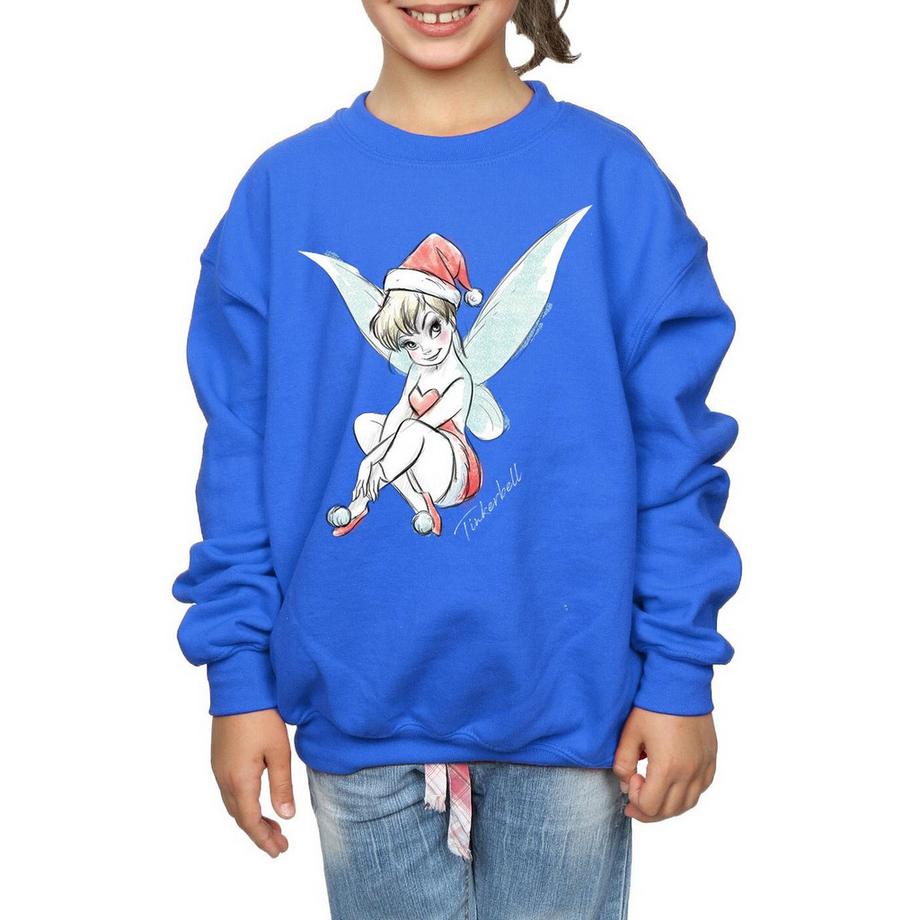 Disney  Fairy Sweatshirt 