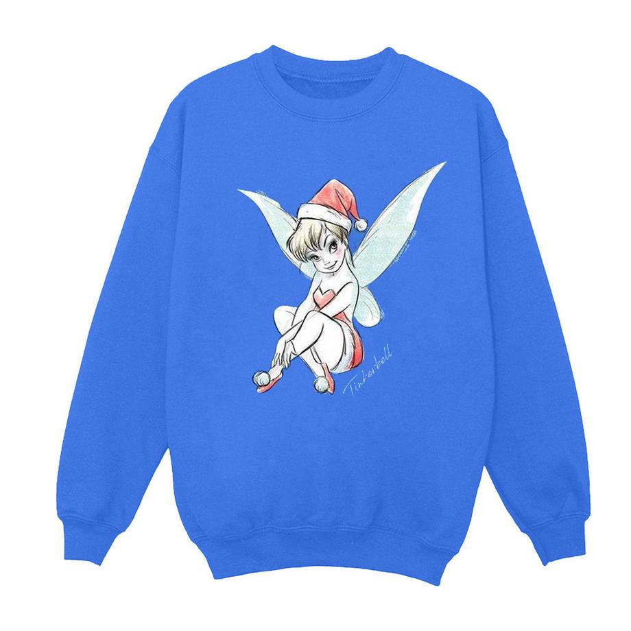 Disney  Fairy Sweatshirt 