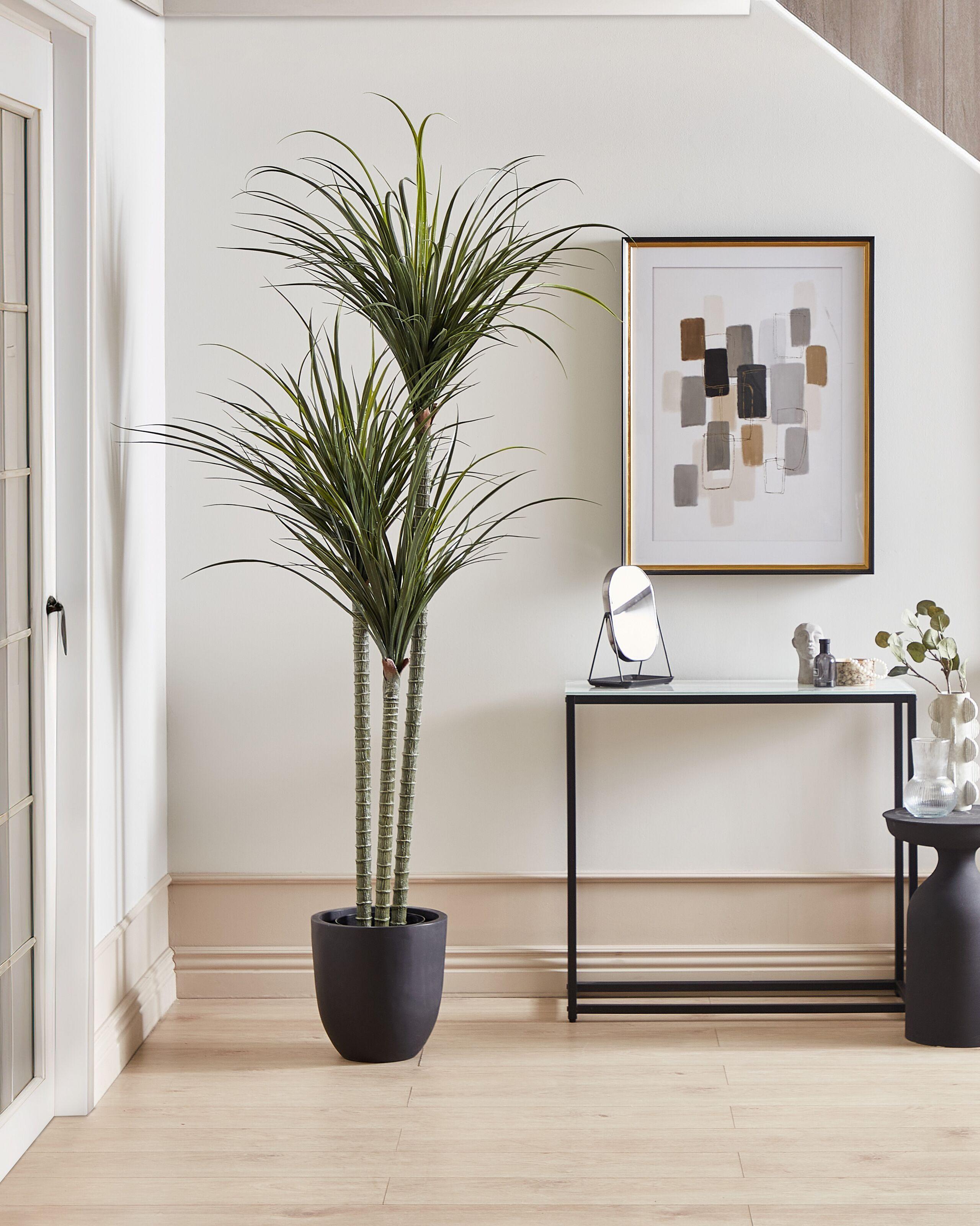 Beliani Kunstpflanze aus Kunststoff DRACAENA ANITA  