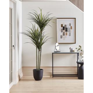 Beliani Kunstpflanze aus Kunststoff DRACAENA ANITA  