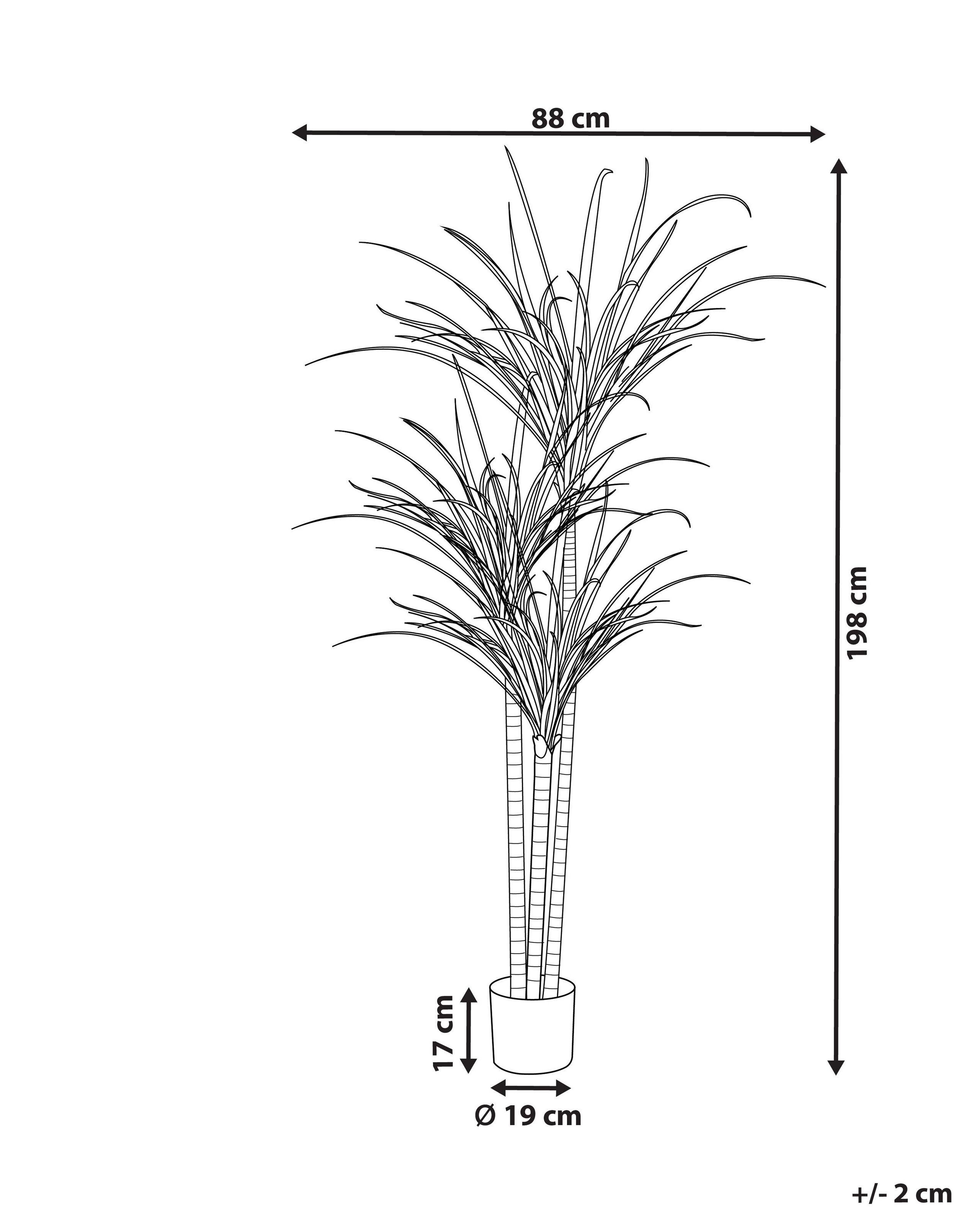 Beliani Kunstpflanze aus Kunststoff DRACAENA ANITA  