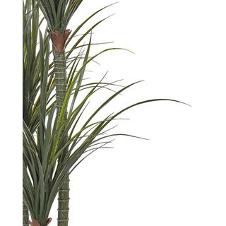 Beliani Plante artificielle en Matière synthétique DRACAENA ANITA  