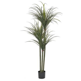 Beliani Plante artificielle en Matière synthétique DRACAENA ANITA  