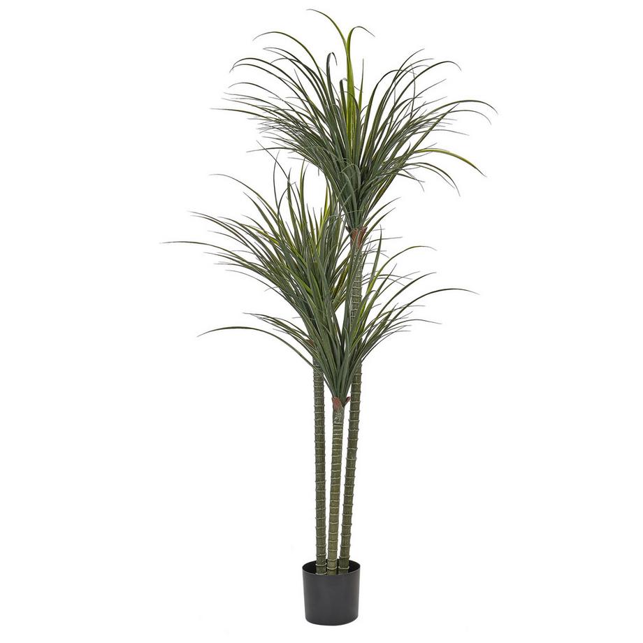 Beliani Plante artificielle en Matière synthétique DRACAENA ANITA  