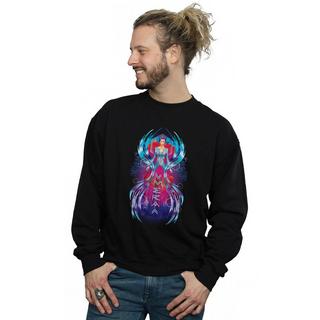 DC COMICS  Sweatshirt 