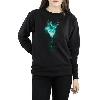 Harry Potter  Sweatshirt 