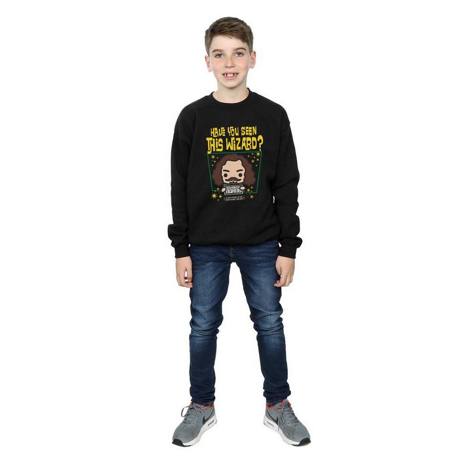 Harry Potter  Sirius Black Azkaban Junior Sweatshirt 