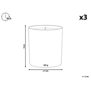 Beliani Set di 3 Candele Profumate en Cera di Soia METALLIC GLAMOUR  