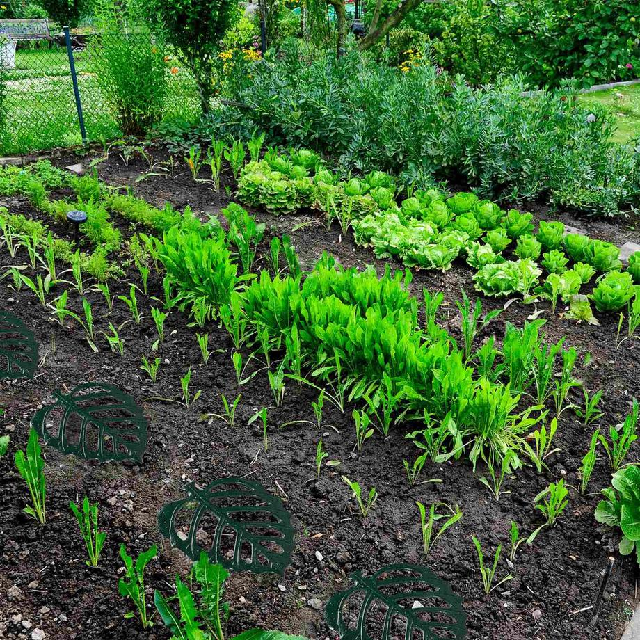 Northix  Gartenstufen aus Steinblatt 
