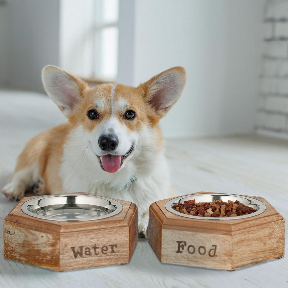 B2X  Ensemble de gamelles pour chien avec support en bois 