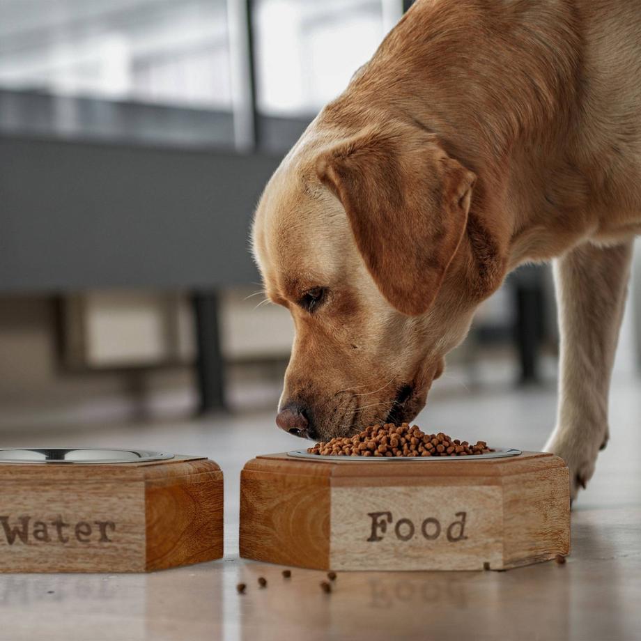 B2X  Ensemble de gamelles pour chien avec support en bois 