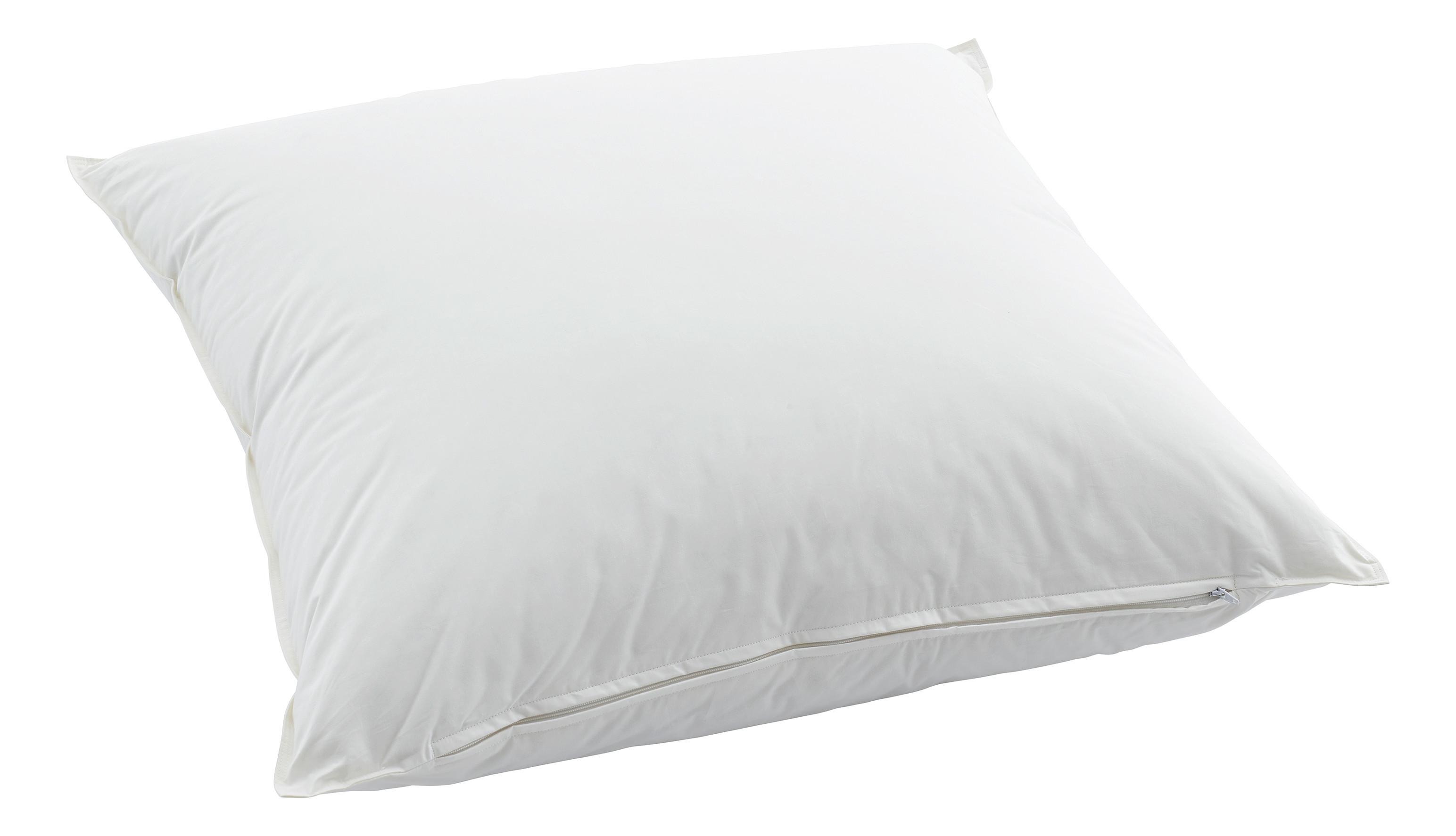 Swiss Dream Oreiller Piuma Pillow Basic 90  