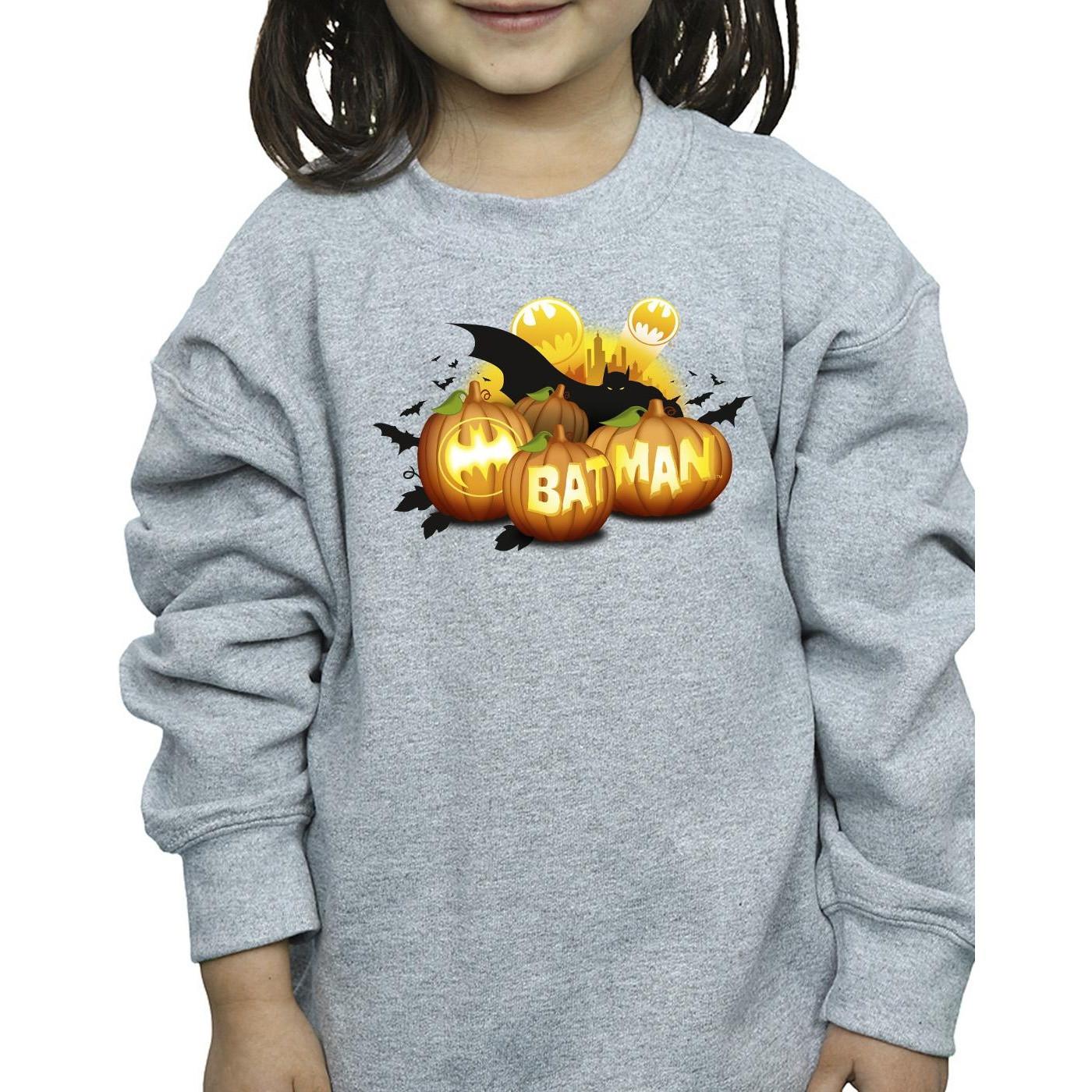 DC COMICS  Sweatshirt 