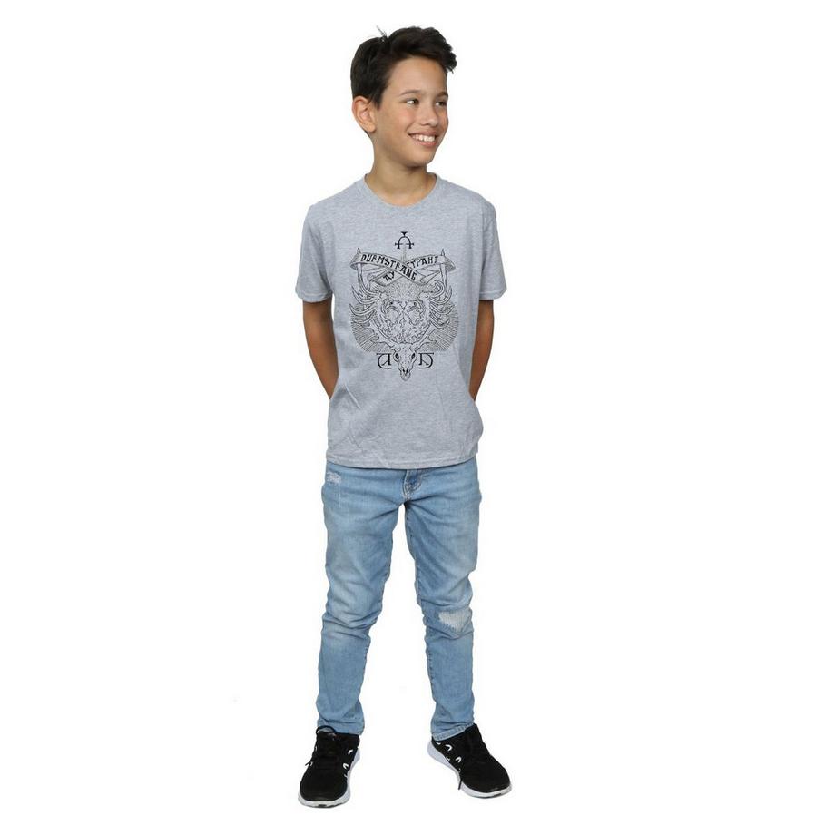 Harry Potter  Durmstrang Institute TShirt 