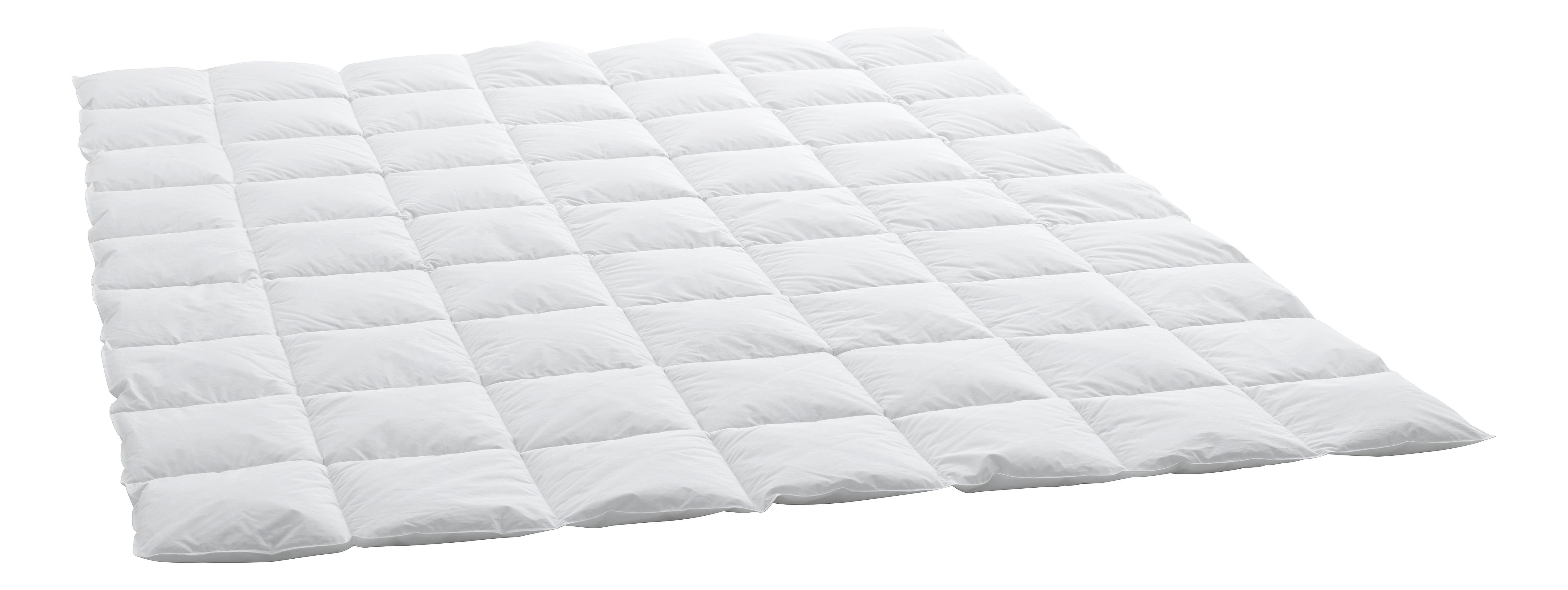 Swiss Dream Caro Light Basic 90 Duvet  