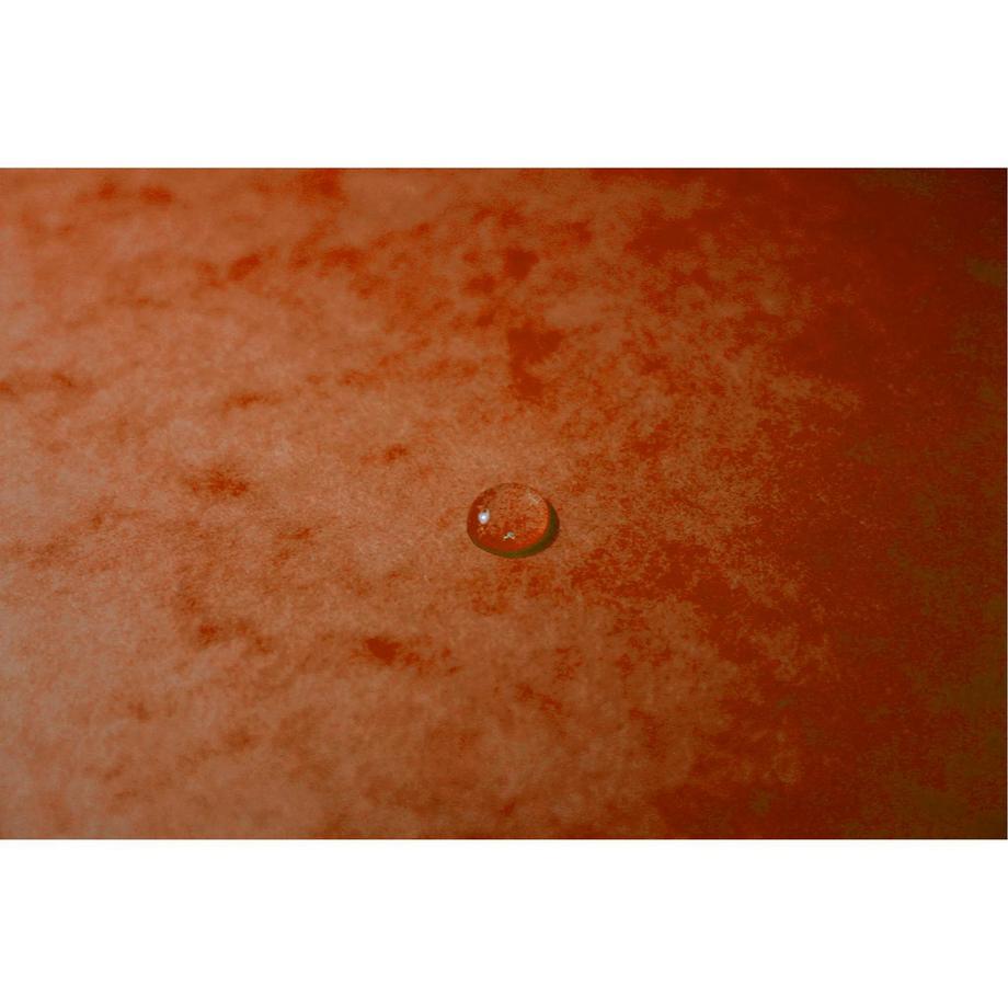 Exacompta Chemise à élastiques Maxi capacity carte lustrée 425gm2 - A4 - x 25  