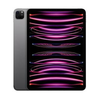 Apple  iPad Pro 2022 (11", 16GB/1TB WiFi) - grau 