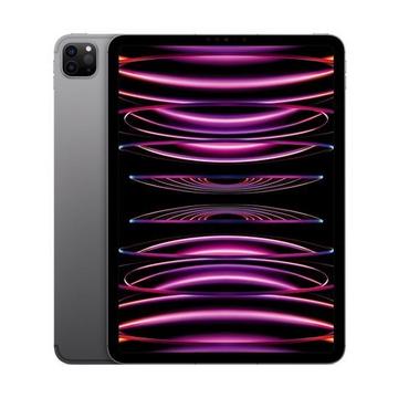 iPad Pro 2022 (11", 16GB/1TB WiFi) - grau