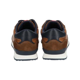 Lloyd  Sneaker 14-414 