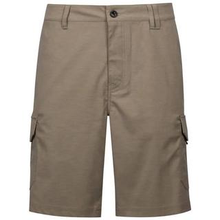 Trespass Adventure Shorts  