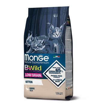 Chat Bwild LG chaton oie sauvage 1,5kg