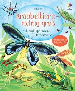 Krabbeltiere - richtig groß Kein Autor Copertina rigida 