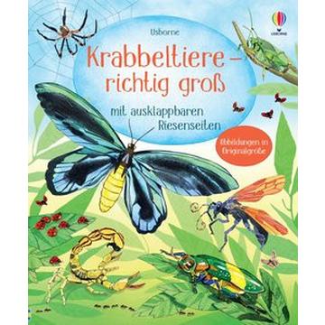 Krabbeltiere - richtig groß