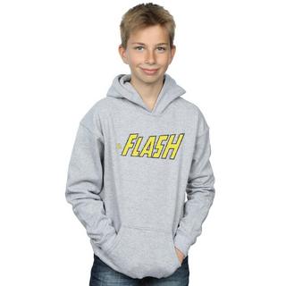 DC COMICS  Sweat à capuche FLASH CRACKLE LOGO 