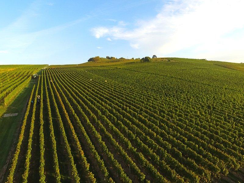 Smartbox  Livraison à domicile de 2 bouteilles de vin suisse avec 1 abonnement de 3 mois - Coffret Cadeau 